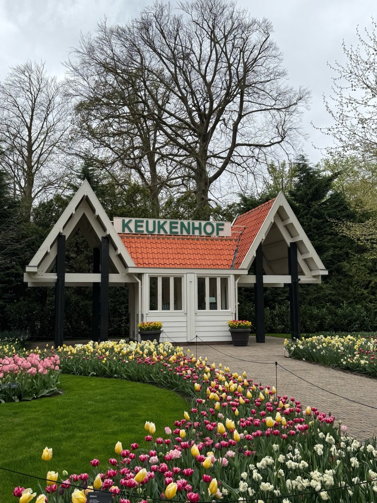 Flowers and a cottage at Keukenhof Gardens in the Netherlands. 