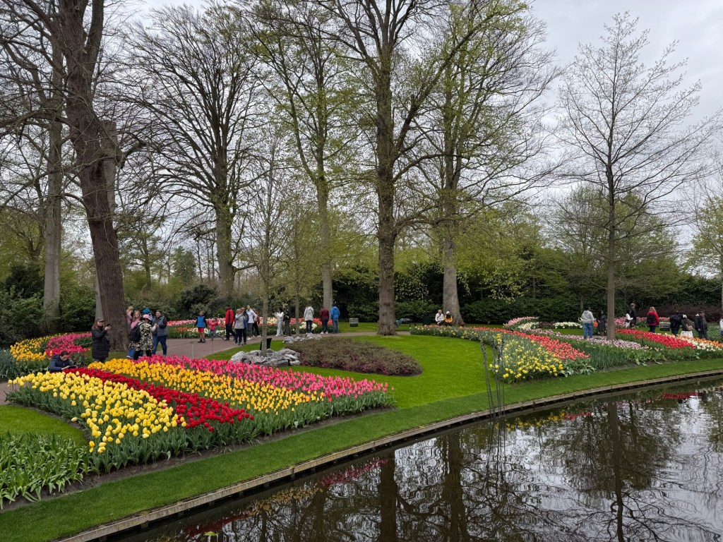 The flowers and water at the Keukenhof gardens in Amsterdam. 
