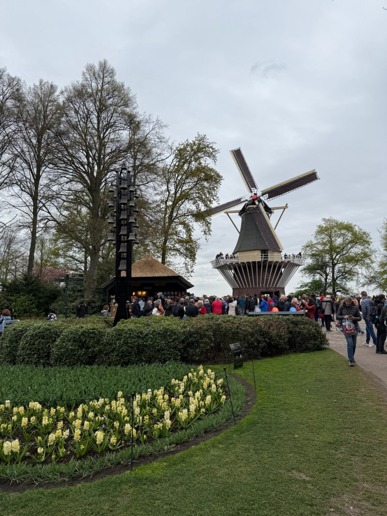 The windmill at the edge of Keukenhof Gardens in Holland. 