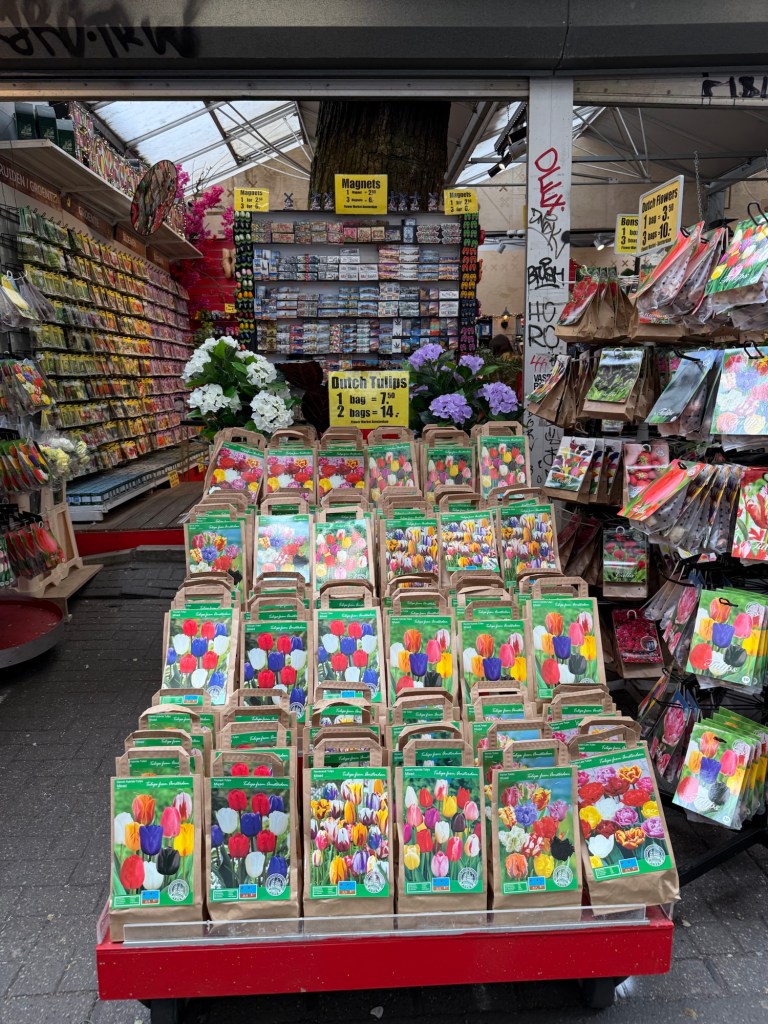 Tulip bulbs for sale at the floating flower market in Amsterdam in April, 2025. 