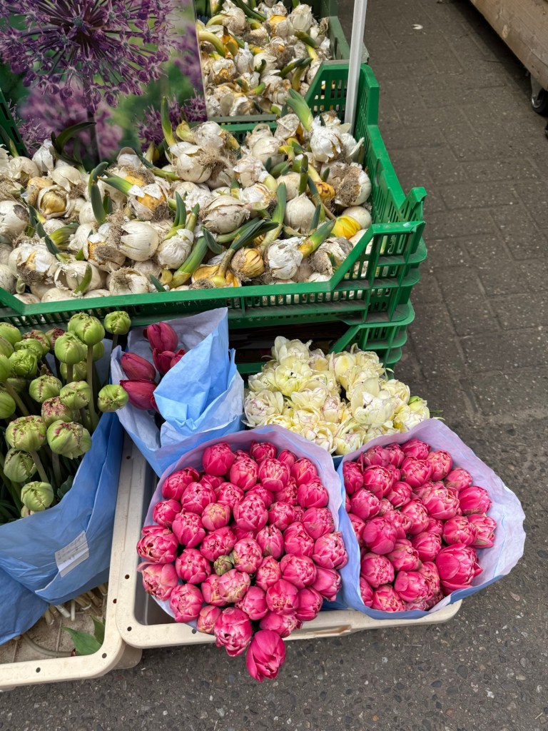 Pink flowers for sale in the street in Amsterdam. 