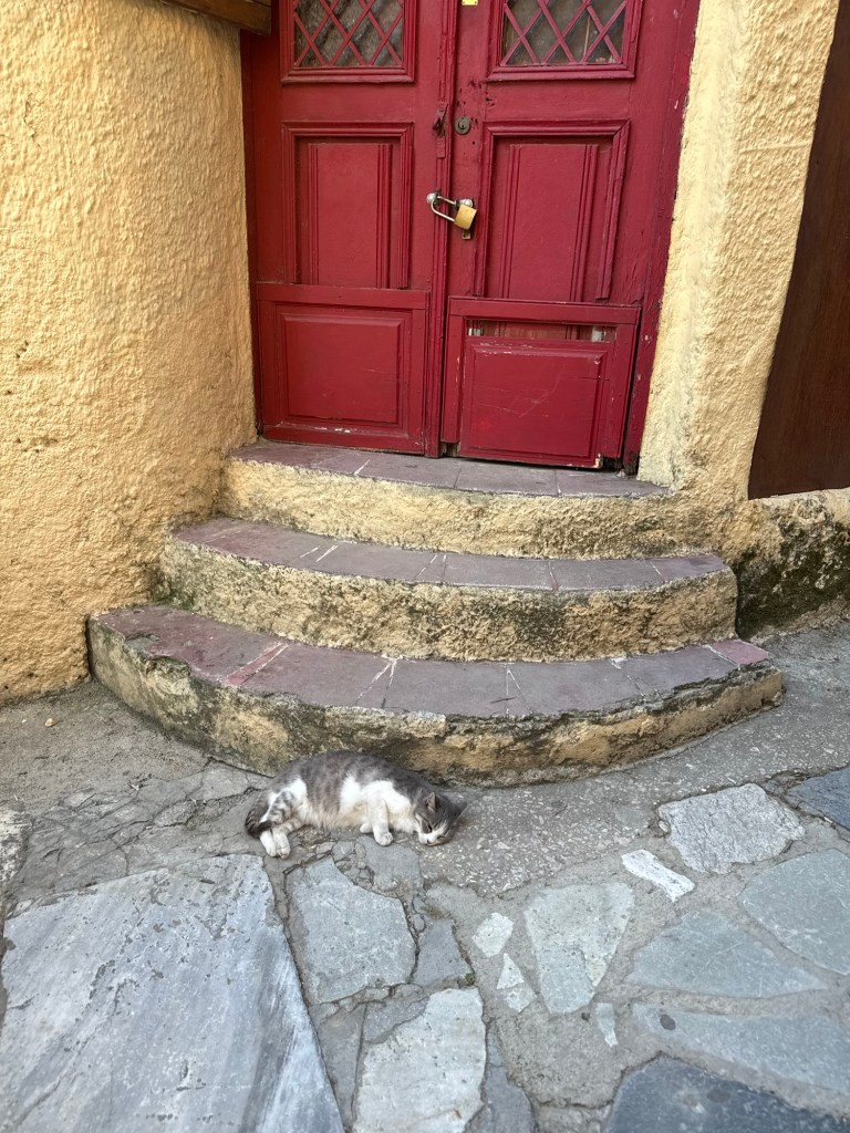 A gray and white cat lounging on a cobblestone path in front of a set of yellow stairs and a red double door with a padlock.